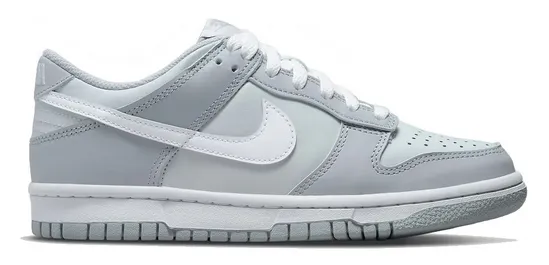 Nike Dunk Low Pure Platinum Grey (GS) Moon Walk Trail Ease