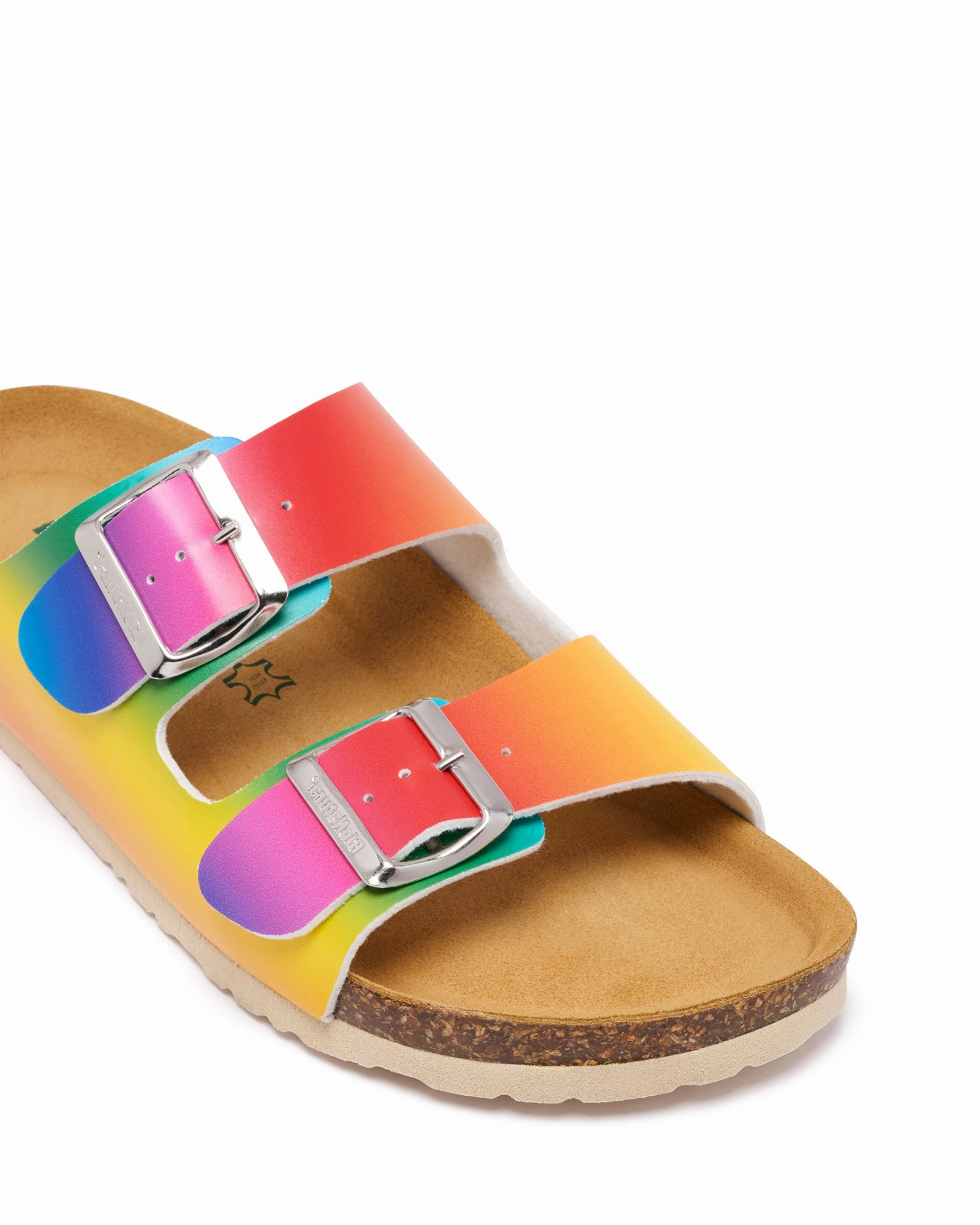 Shell Trim Brunch Walk Licata Rainbow