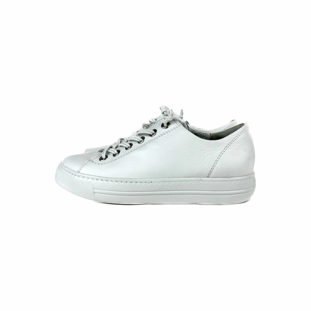 Paul Green - Hadley Sneaker (White/Silver) Modern Fit