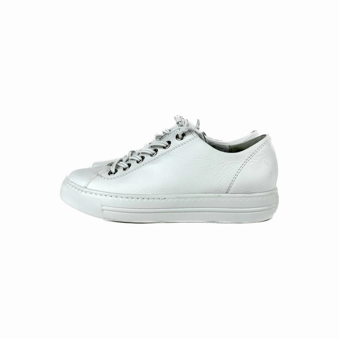 Paul Green - Hadley Sneaker (White/Silver) Modern Fit