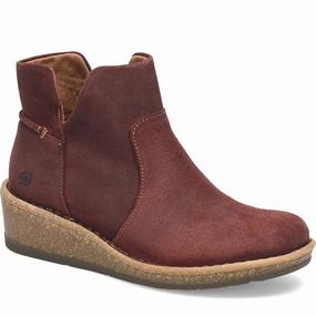 Cozy Feel Snowy Environment Viv