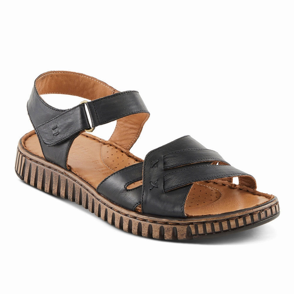 Nochella Fashionable And Functional