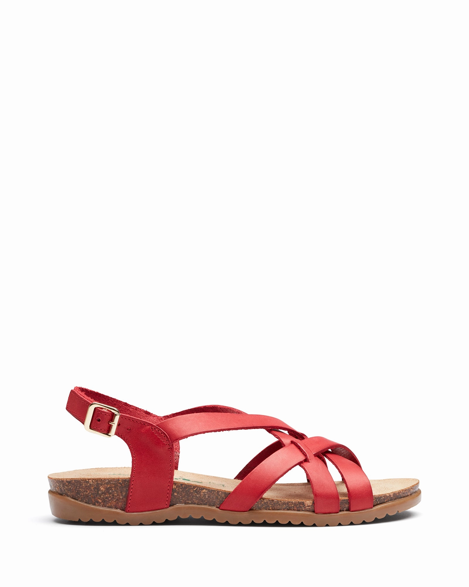 Scuzzi Coral Stride Light