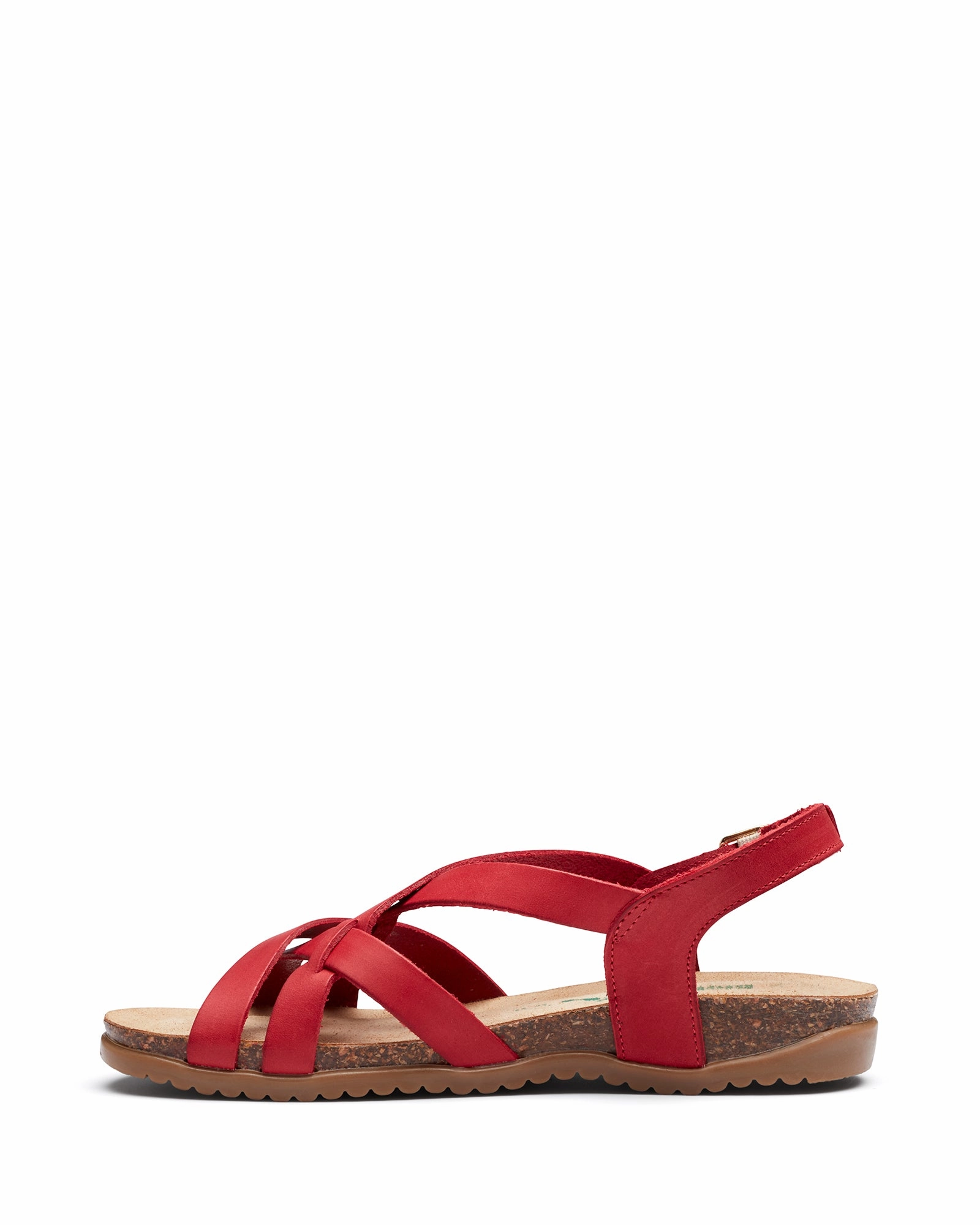 Minimal Design Sunday Vibe Scuzzi Coral